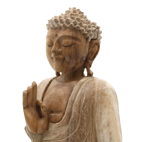 Buddha Statue Whitewash - Teaching Transmission