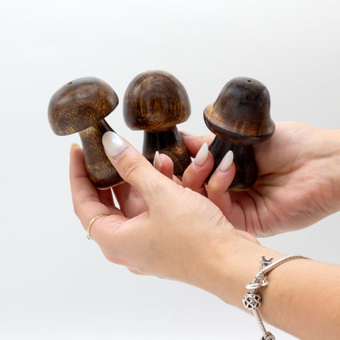 Set of 3 Mini Incense Mushrooms