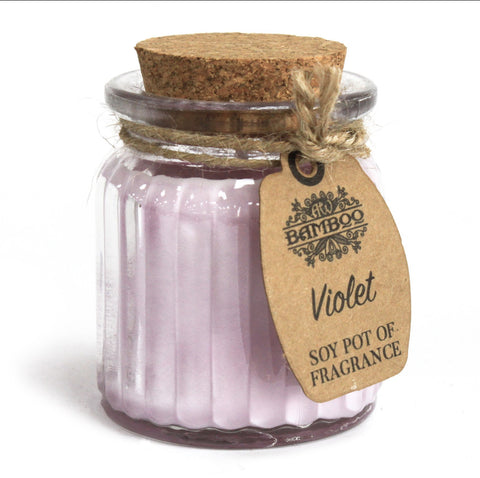 2 x Soybean Wax Fragrance Candles