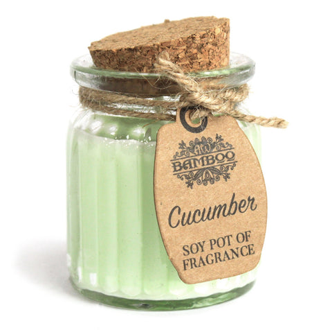 2 x Soybean Wax Fragrance Candles