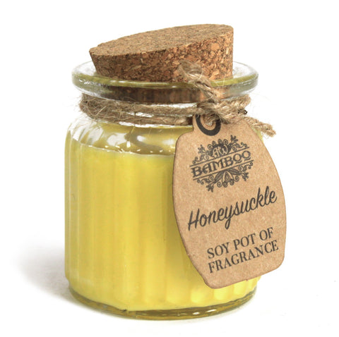 2 x Soybean Wax Fragrance Candles