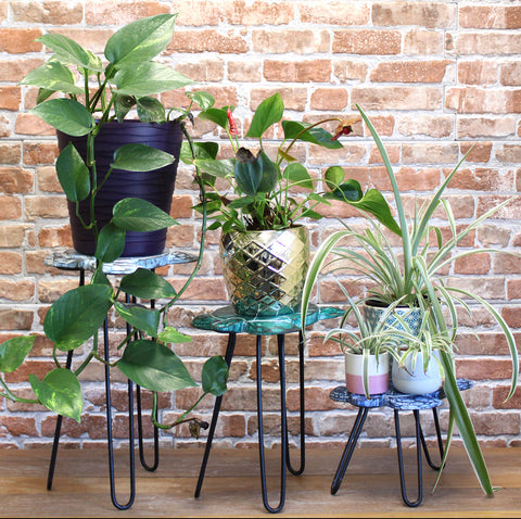 Wooden Plant Stands