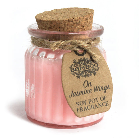 2 x Soybean Wax Fragrance Candles