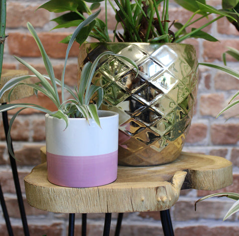 Wooden Plant Stands