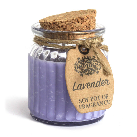 2 x Soybean Wax Fragrance Candles