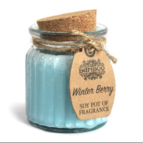 2 x Soybean Wax Fragrance Candles