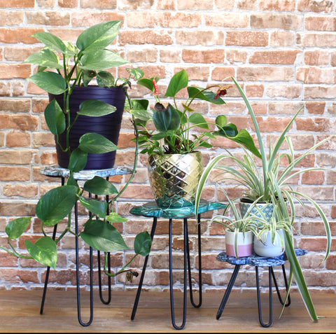 Wooden Plant Stands