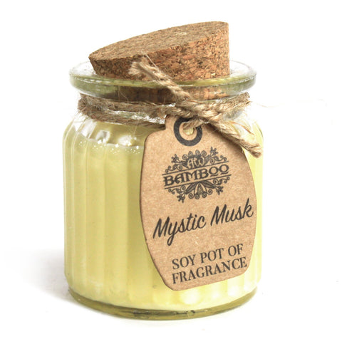 2 x Soybean Wax Fragrance Candles