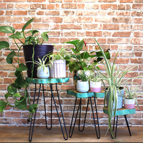 Wooden Plant Stands