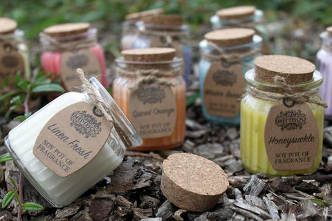 2 x Soybean Wax Fragrance Candles