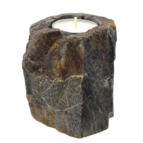 Petrified Wood Candle Holder