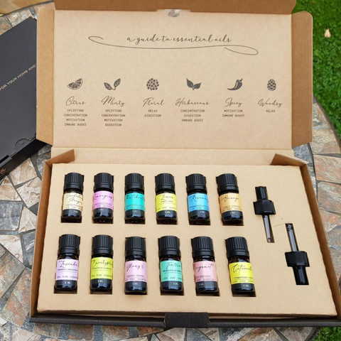 Aromatherapy Essential Oil Set - The Top 12
